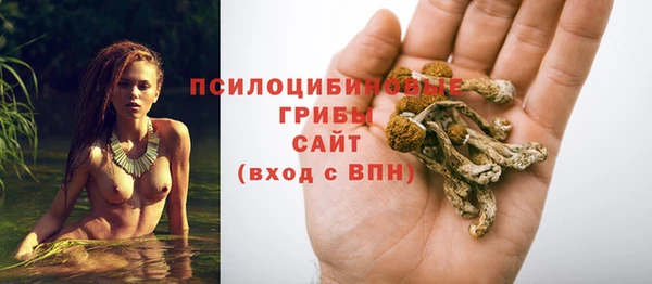 синтетический гашиш Медвежьегорск