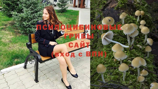 наркотики Магас