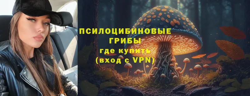 Псилоцибиновые грибы MAGIC MUSHROOMS  маркетплейс наркотические препараты  Комсомольск-на-Амуре  сколько стоит 