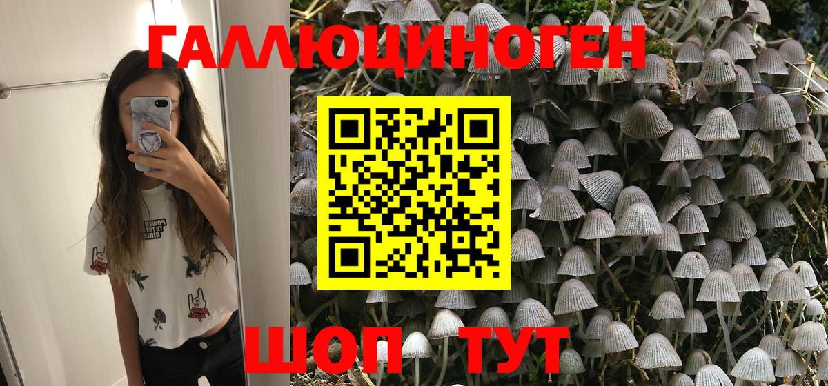 Комсомольск-на-Амуре  Галлюциногенные грибы ЛСД  Вход с VPN 